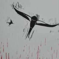 Rencontre avec Carole Augay Rallet samedi 26 juin de 16h à 19h