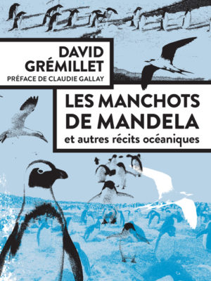 le Matoulu