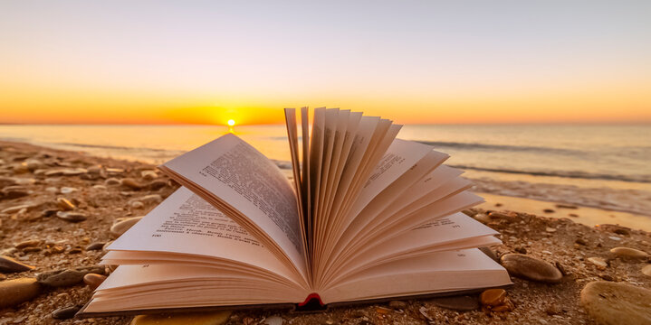 Votre librairie reste ouverte tout l’été, aménagement des horaires du 4 juillet au 20 août